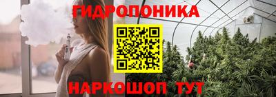MDMA Premium VHQ Камышлов