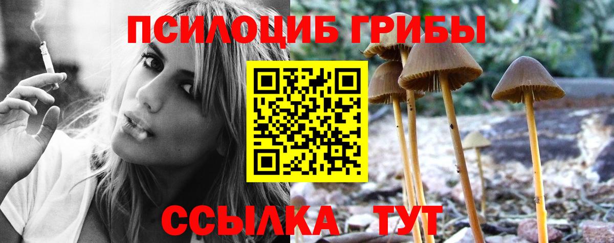 Галлюциногенные грибы Cubensis  Вход с VPN  Псилоцибиновые грибы Psilocybine cubensis  Кузнецк 